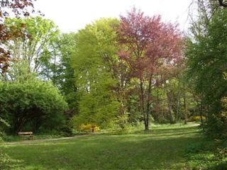 szigliget-arboretum.jpg